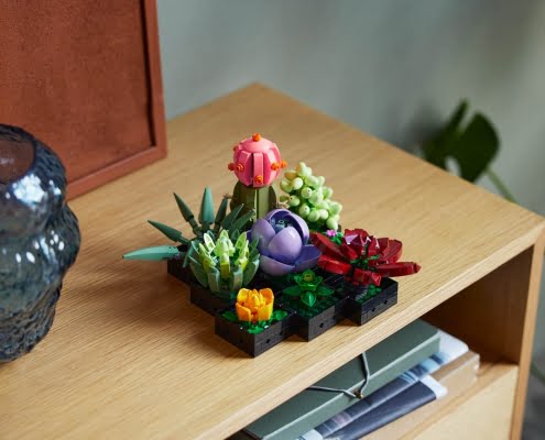 10309_Lifestyle_APAC_001