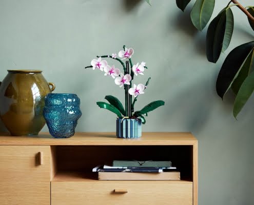 10311_Lifestyle_APAC_001
