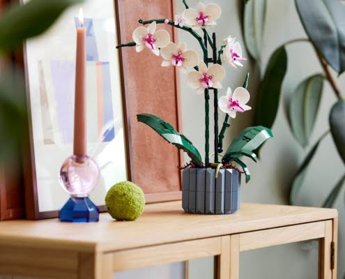 10311_Lifestyle_APAC_008